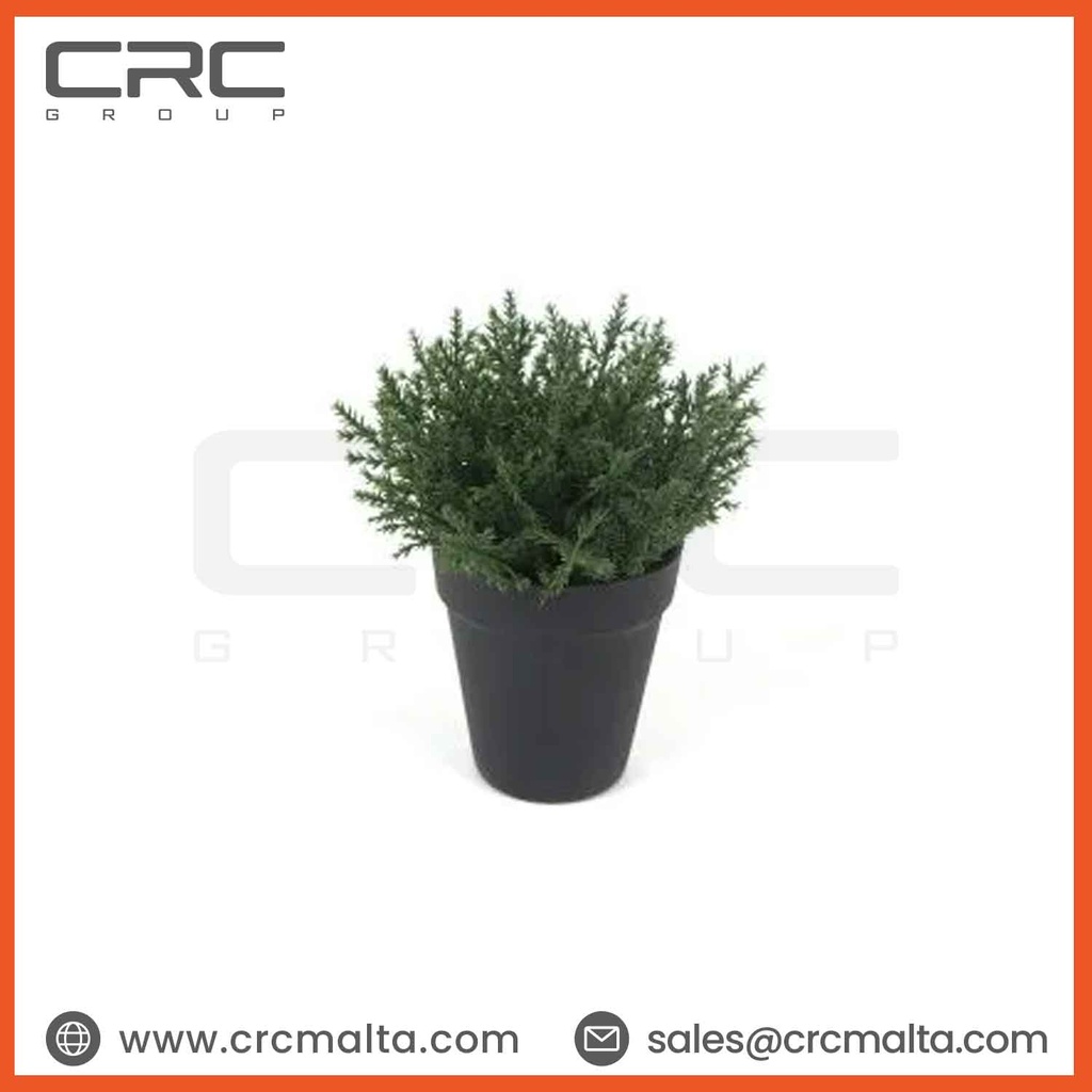 CRC Small Artificial Plant TPM60281