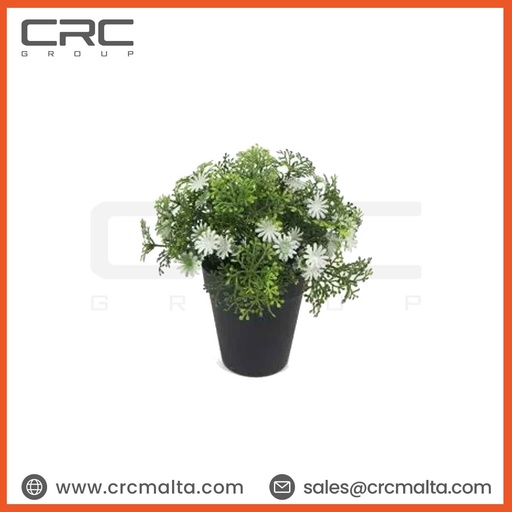 CRC Small Potted Plant TPM61681