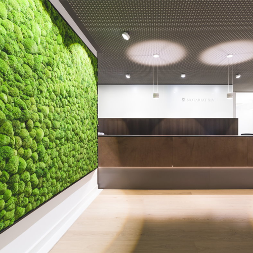 Moss wall in the office - CRC Group, Turnkey division
